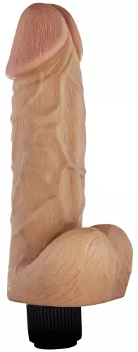 Vibrating Dildo Boy Wonder 17 x 4.5 cm – 1/2