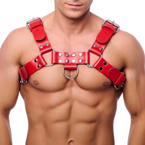 Buckle Red Leather Harness