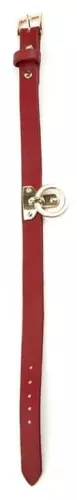 Halsband und Leine Kunstleder SCLAVE Rot – 3/3