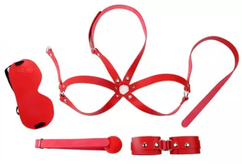 BDSM Einsteigerset OBEDIENCE 4 Teile Rot – 1/2