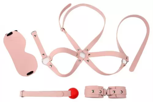 BDSM Einsteigerset Obedience 4 Teile Rosa – 1/2