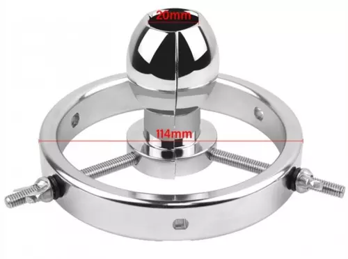 Dehner Giant 5 cm - Breite 3,5-10cm – 7/7