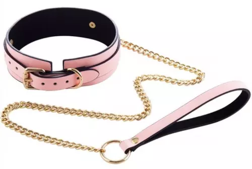 Leuchtender Halsband-Leine Luminous Rosa – 1/2