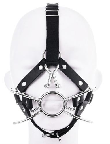 Spider gag with nasal hook