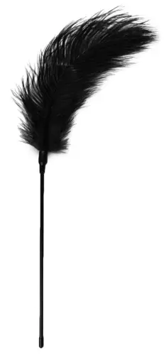 Federwedel Teasing 56cm Schwarz – 1/3