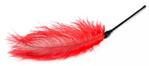 Federwedel Teasing Rot 56cm – 3/3