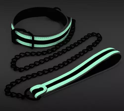 Halsband-Leine fluoreszierend Glo 75cm – 1/3