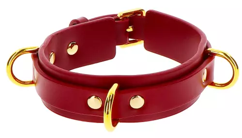 Halsband D-Ring Taboom Rot – 1/5