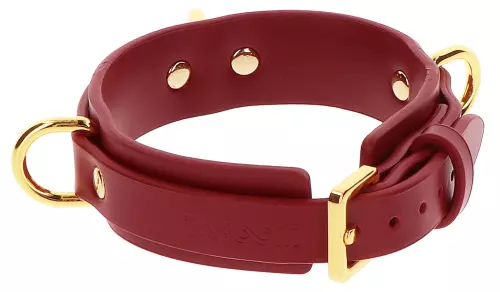 Halsband D-Ring Taboom Rot – 4/5