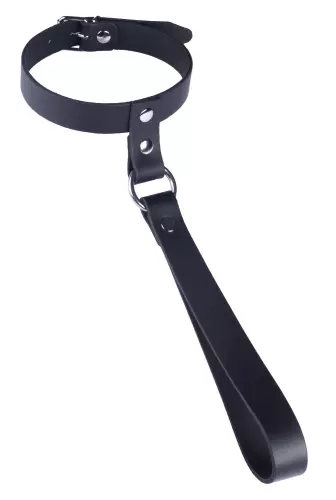 Lederhalsband mit kurzer Leine – 2/3