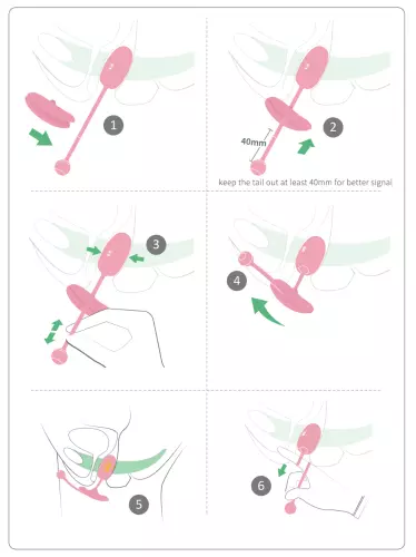 Vaginaal ei verbonden Kegel Coach 6 x 3cm – 10/13