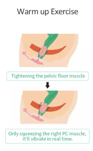 Vaginaal ei verbonden Kegel Coach 6 x 3cm – 11/13