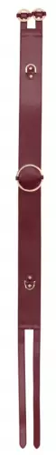 Gürtel Restraint Belt Rot – 3/5