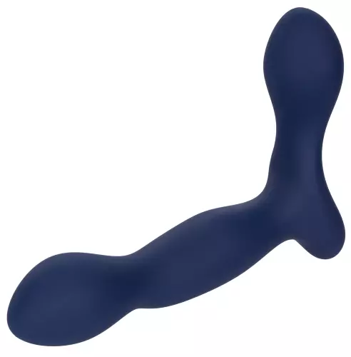 Prostatastimulator Expert Probe Viceroy 10 x 2.5cm – 11/14