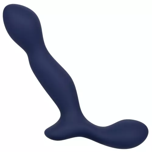 Prostatastimulator Expert Probe Viceroy 10 x 2.5cm – 12/14
