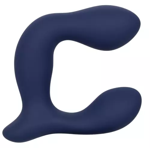 Prostatastimulator Expert Probe Viceroy 10 x 2.5cm – 14/14