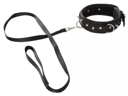 Halsband und Leine Vegan Fetish – 1/4