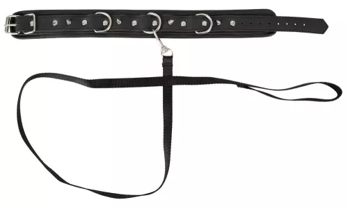 Halsband und Leine Vegan Fetish – 4/4