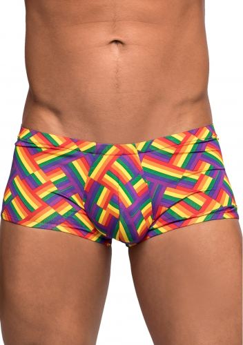 PRIDE FEST Boxer