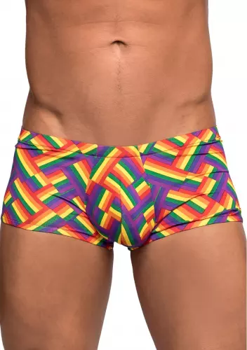 Boxer PRIDE FEST – 1/6