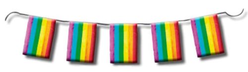 Rainbow Bunting Garland 10m