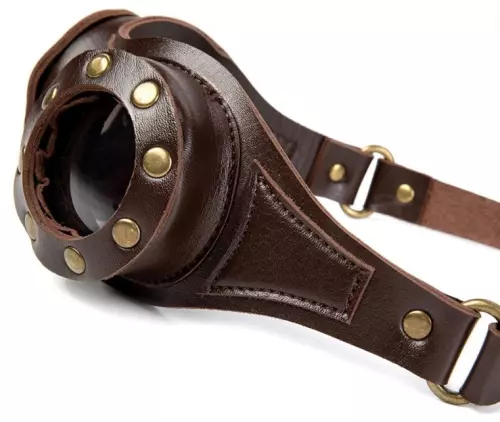 Paar Motorbrille Braun – 7/8