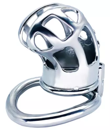 Keuschheitskäfig aus Metall Royal Steel 7 x 3cm – 2/6