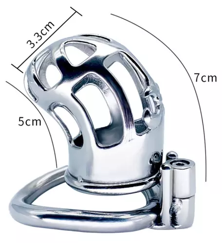 Keuschheitskäfig aus Metall Royal Steel 7 x 3cm – 6/6