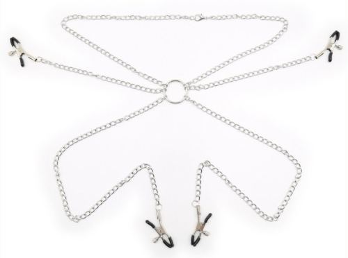 Tepel- en intimeklemmen Nipple Quattuor