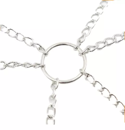 Brustwarzen- und intime Zonen-Klemmen Nipple Quattuor – 3/4