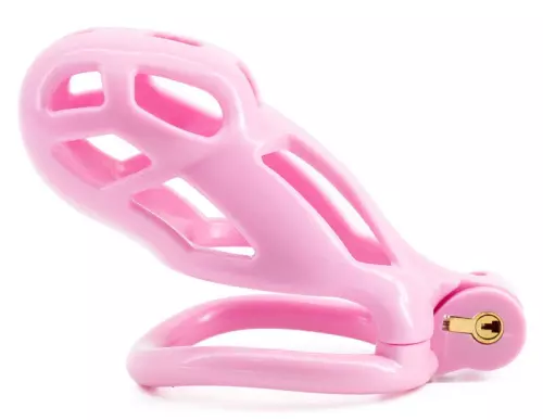 Keuschheitskäfig Robat Rosa XL 9 x 3,7cm – 2/3